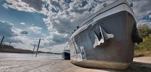 Niedrigwasser am Rhein: Warum die Vertiefung der Fahrrinne kein Allheilmittel ist